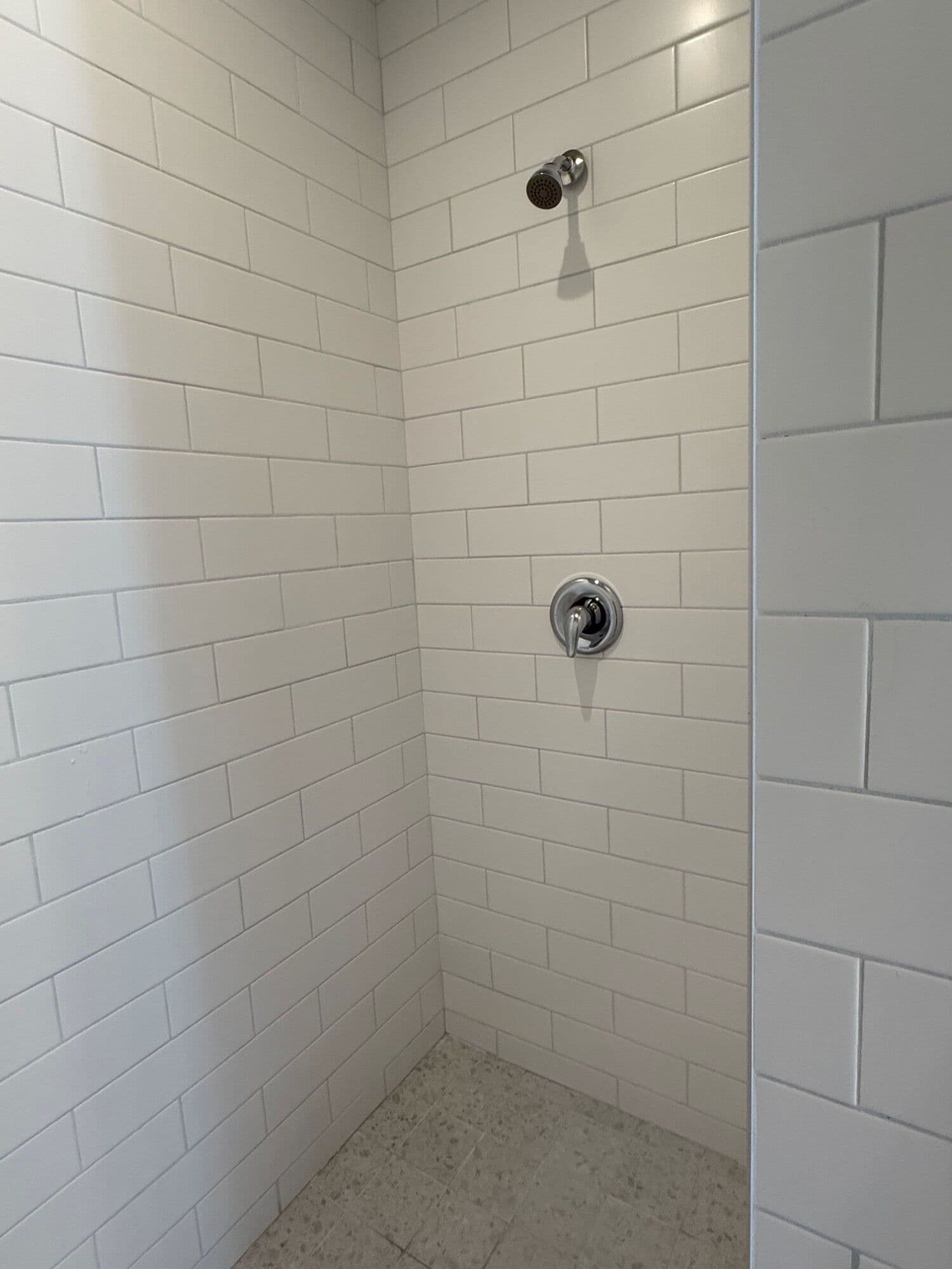 Walk-in shower with white subway tile